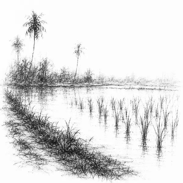Charcoal sketch of rice paddies of Alleppey and a low bank below the waterline