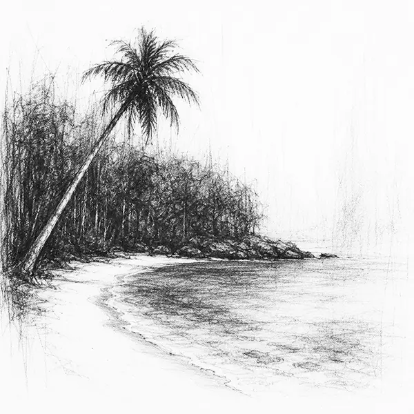 Charcoal sketch of a small quiet cove with a single leaning palm over turquoise shallows in Andaman & Nicobar isalands