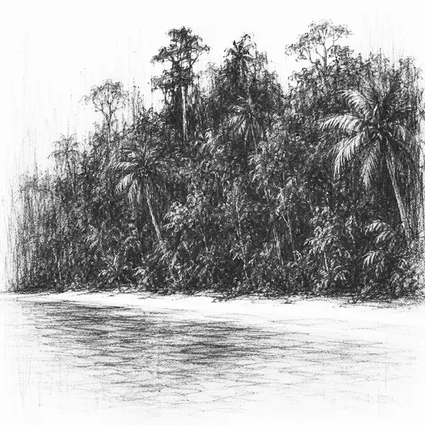 Charcoal sketch of dense jungle meeting the white sand in Andaman & Nicobar islands