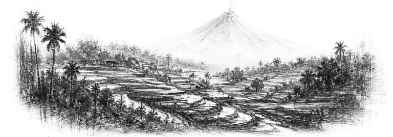 Charcoal sketch of terraced green rice paddies stepping down a valley, a volcano standing beyond, palms, soft light - never been abroad