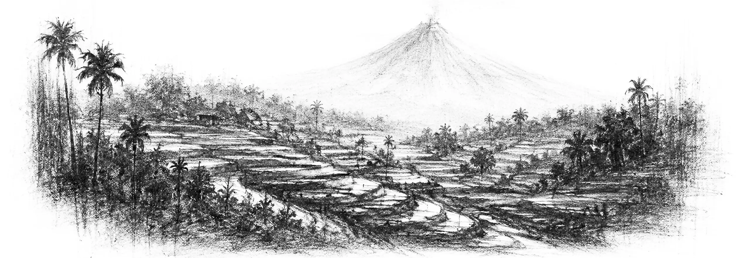 Charcoal sketch of terraced green rice paddies stepping down a valley, a volcano standing beyond, palms, soft light - never been abroad