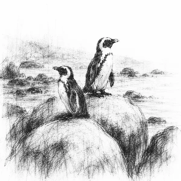 Charcoal sketch of two African penguins standing in Cape Town