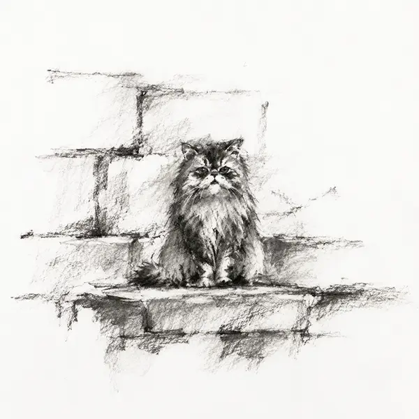 Charcoal sketch of a cat sitting calmly on a worn ancient stone step in Istanbul