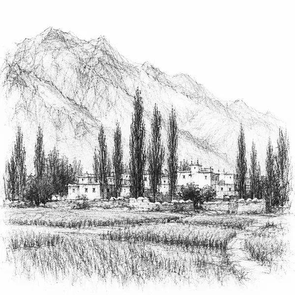 Charcoal sketch of a green Ladakhi village — barley fields and a row of straight poplars against bare brown mountains