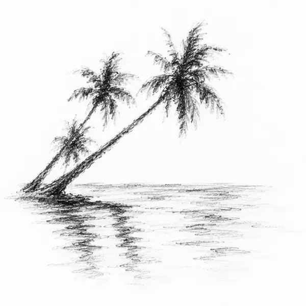 Charcoal sketch of coconut palms leaning over a shore