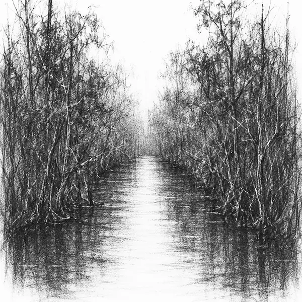 Charcoal sketch of a mangrove-forest wall along a narrow brown creek at sundarbans
