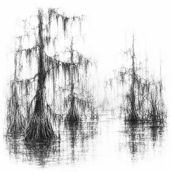 Charcoal sketch of a cypress swamp hung with moss